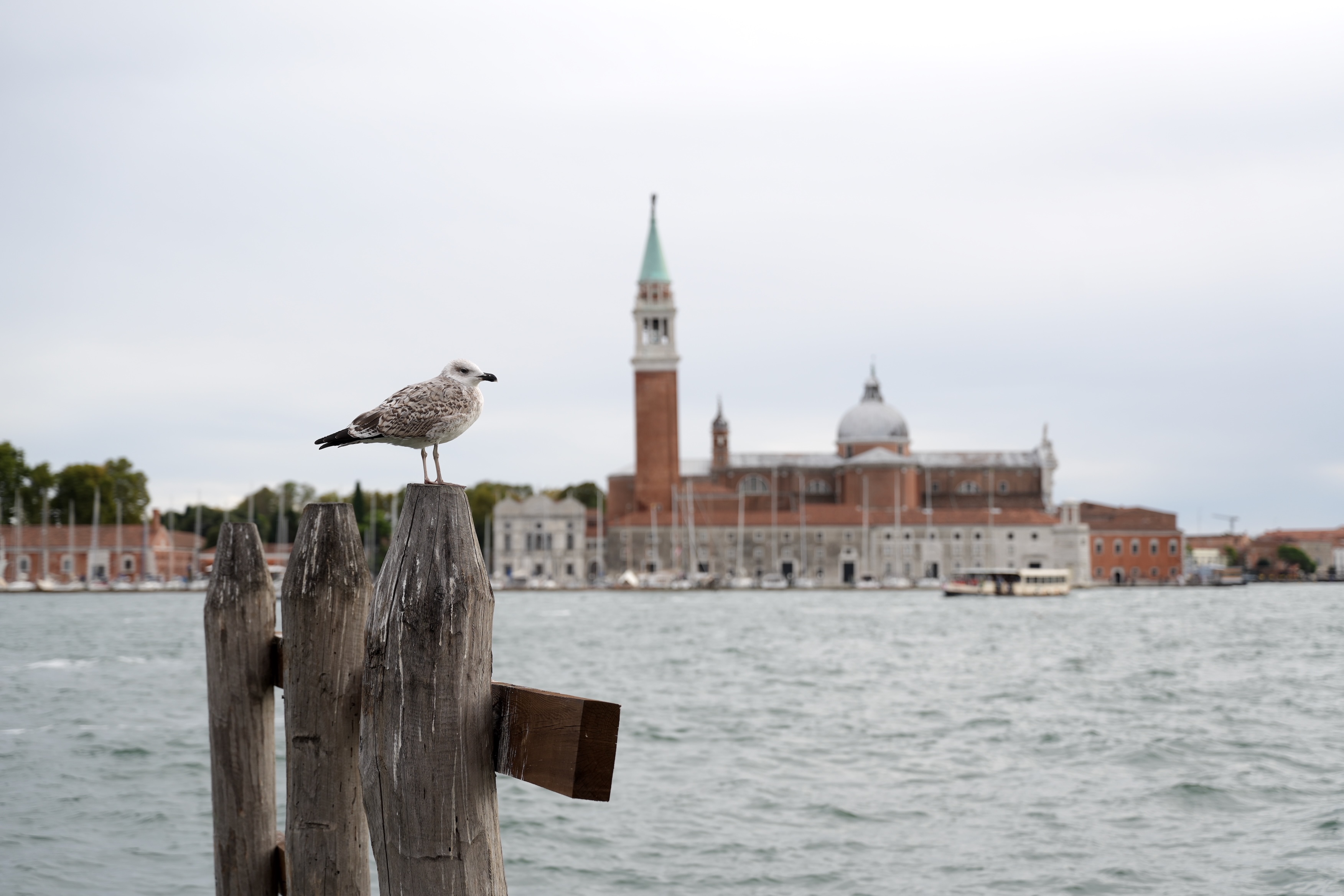 Venezia